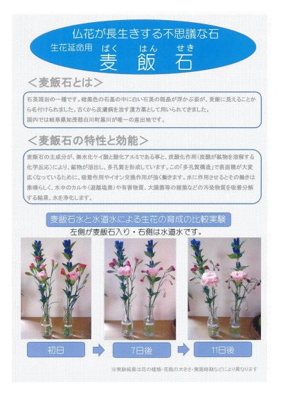 麦飯石パンフレット